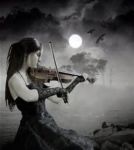 La nordista � strana