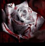 Precari, un giorno qualunque