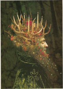 Il re Quercia ed il re Agrifoglio  