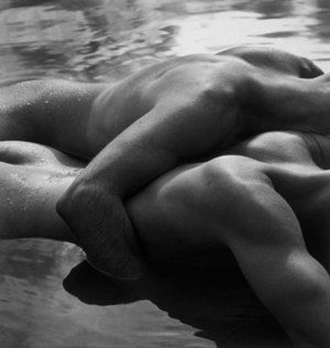 Il giardino della Volutt�  