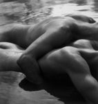 Il giardino della Voluttà