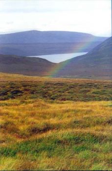 Passeggiata tra le dune  
