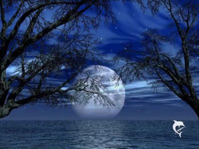 L'isola del rosmarino  