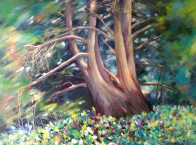 L'albero degli impiccati