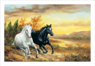 Vado a ballare col vento