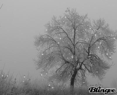 L'albero dei pensieri
