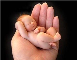 Il pianto di un mai nato