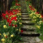 Dietro le tue spalle