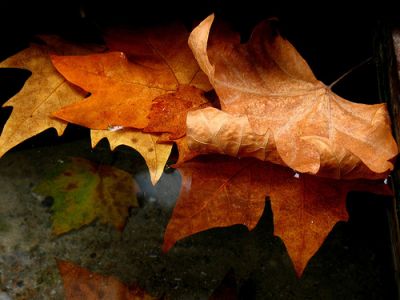 Lascia parlare il vento