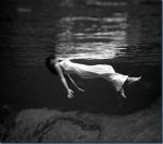 Dissolvenza... eeeeee stop!