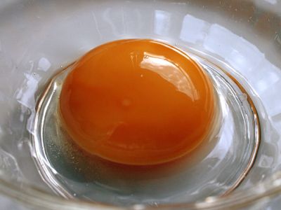 Maledetta rettitudine