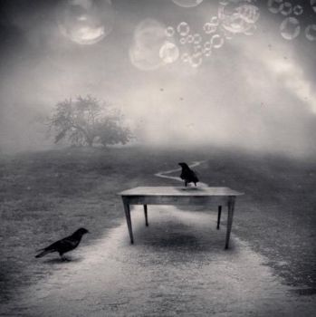 Incongruenza e citazione