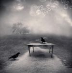 Incongruenza e citazione