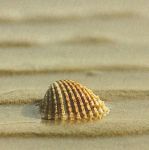 Frammento di un rimpianto