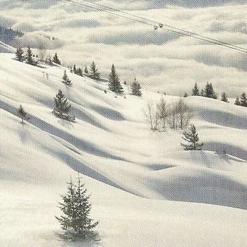 Serenata di dicembre