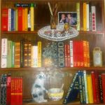 Vorrei esserti stata poesia