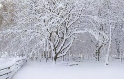 Ti ho mai detto di quella allegria