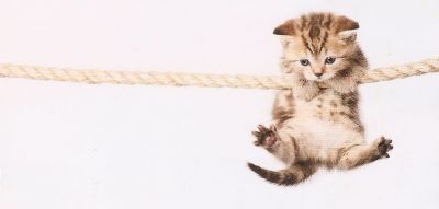 L�estate ci sorprende