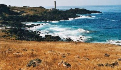 Suggestioni di Ustica