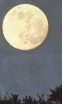 La carezza della luna