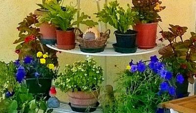 Per un solo attimo di realt�