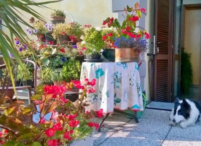 Dell�ozio e di altre virt�