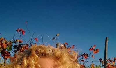 Forse in un giorno troppo azzurro