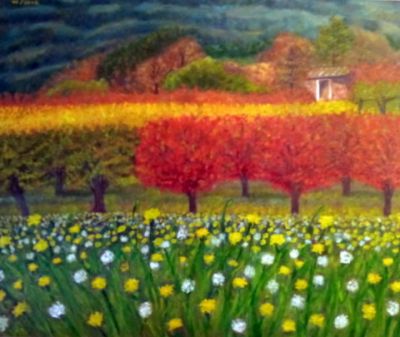 Indicazioni e posologia