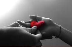 Istantanee di una vita  