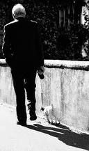 Il vecchio e il cane