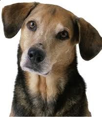 Una carezza sotto il portico