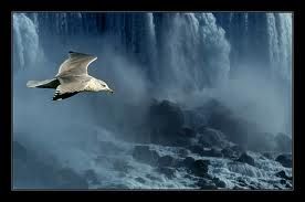 La Poesia dell'Esistere  