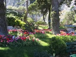 Senza Scuse . (Quanto mi basta)  