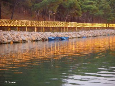 Questa Nostra Citt�  