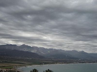 Come volo di farfalla