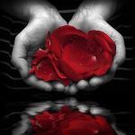 E nell'aria... sento