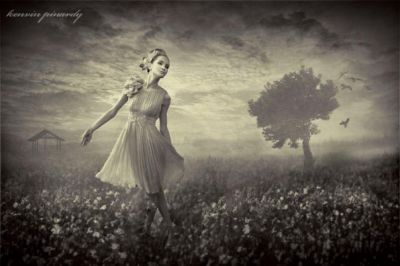 Il candido bianco rumore