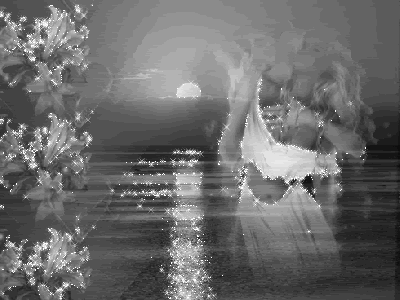 Leggere la tua anima