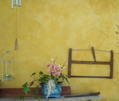 Olio su tela 1: Natura Morta