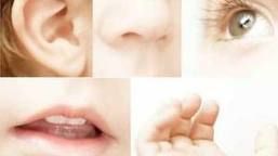 L'amore nei cinque sensi