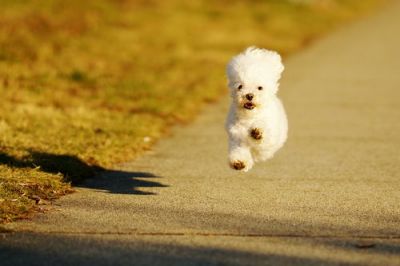 Ricomincio da "cinquanta"