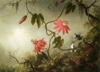 Jos� Arcadio e Rebeca (Cent'anni di Solitudine)