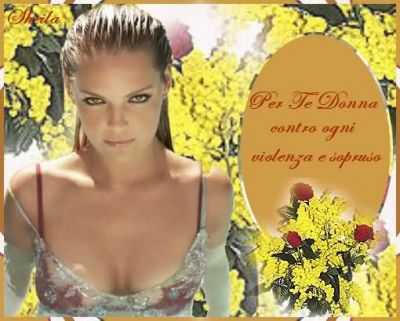 Sulle ali di un gabbiano