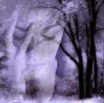 Lo sguardo dei tuoi occhi