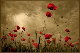 Assaporando ogni emozione  