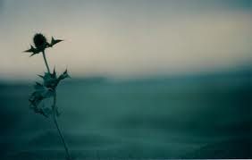 Non � scritta la fine  