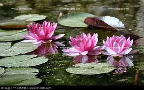 Non decido io il finale