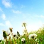 Finch� ci saranno stelle in cielo