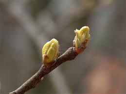 Crateri di luna baciati di luce