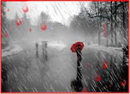 Il profumo della pioggia